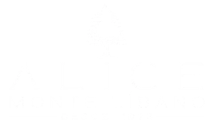 Restaurante Alice Monte Líbano, culinária árabe, fundado por imigrantes libaneses em 1973